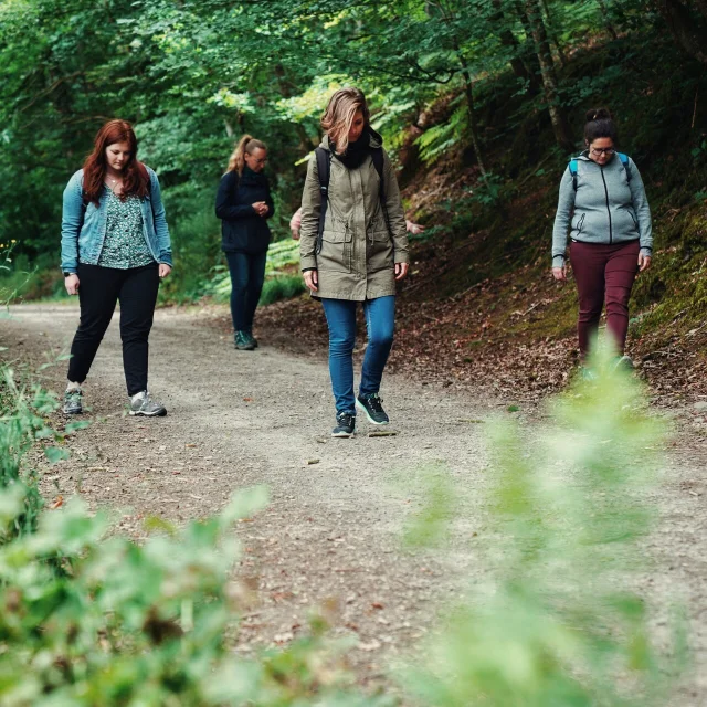 Expérience Sophro'Balade au cœur de la forêt de La Lucerne