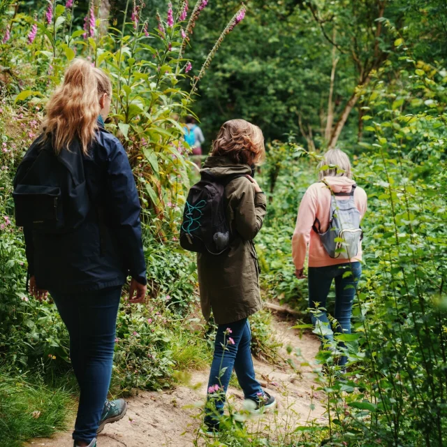 Expérience Sophro'Balade au cœur de la forêt de La Lucerne