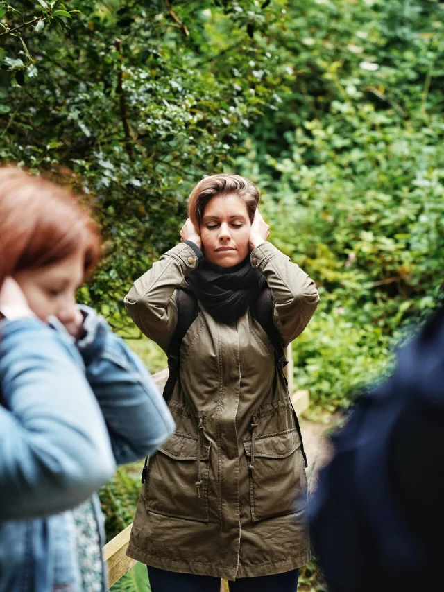 Expérience Sophro'Balade au cœur de la forêt de La Lucerne