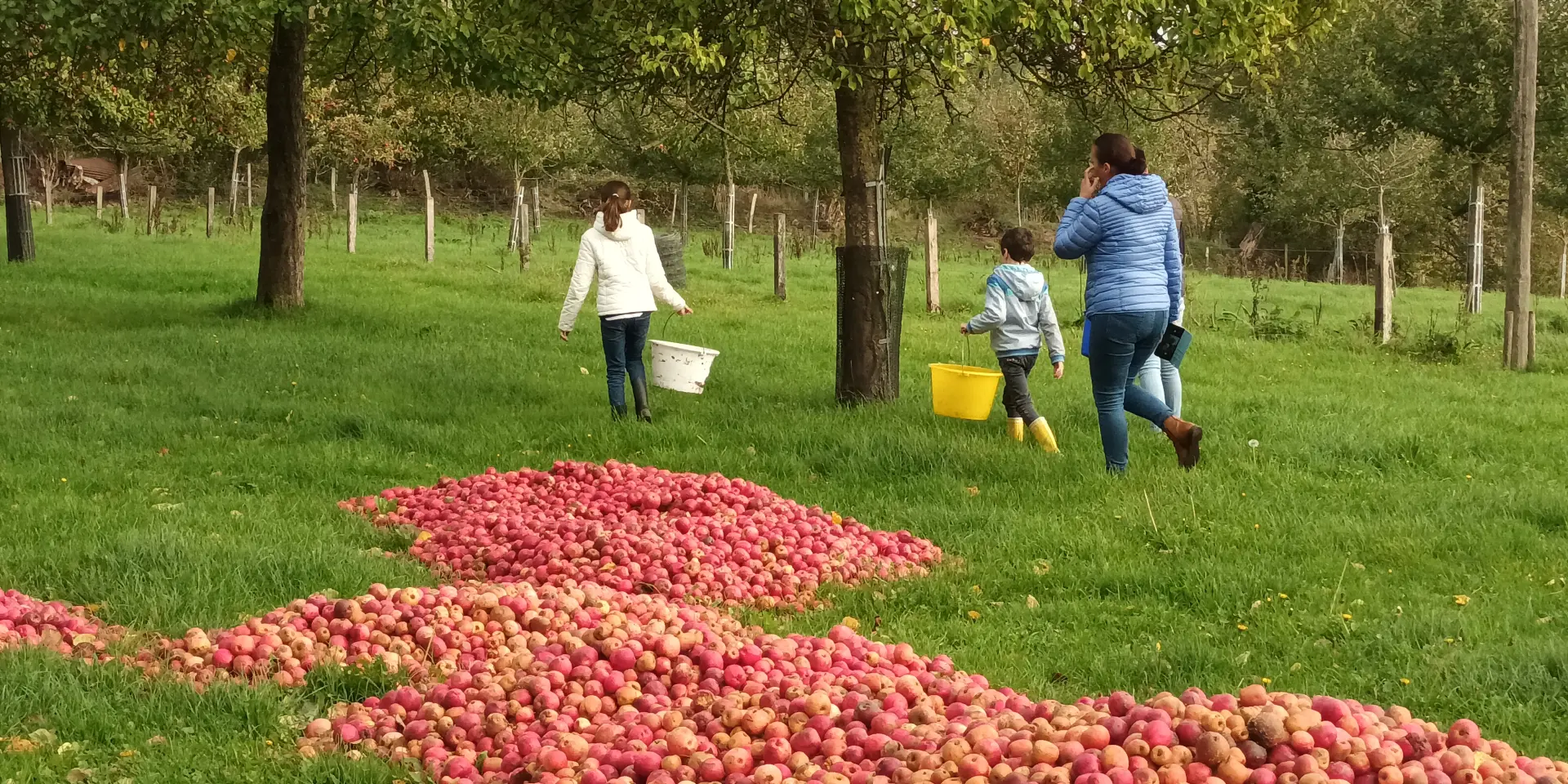 Ferme Cidricole Domaine Le Girard Coudeville Sur Mer