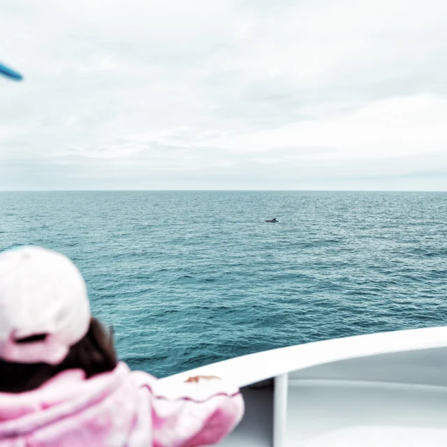 Observateur Naturaliste D Un Jour Faune Marine Dans Les Archipels De Chausey Et Des Minquiers