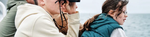 Observateur Naturaliste D Un Jour Faune Marine Dans Les Archipels De Chausey Et Des Minquiers