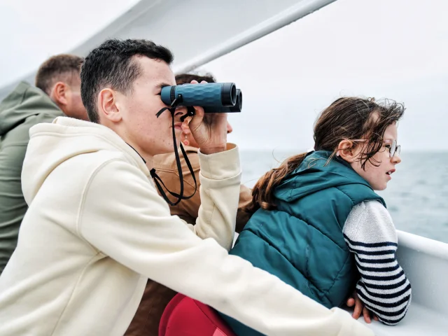 Observateur Naturaliste D Un Jour Faune Marine Dans Les Archipels De Chausey Et Des Minquiers