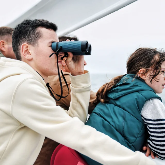 Observateur Naturaliste D Un Jour Faune Marine Dans Les Archipels De Chausey Et Des Minquiers