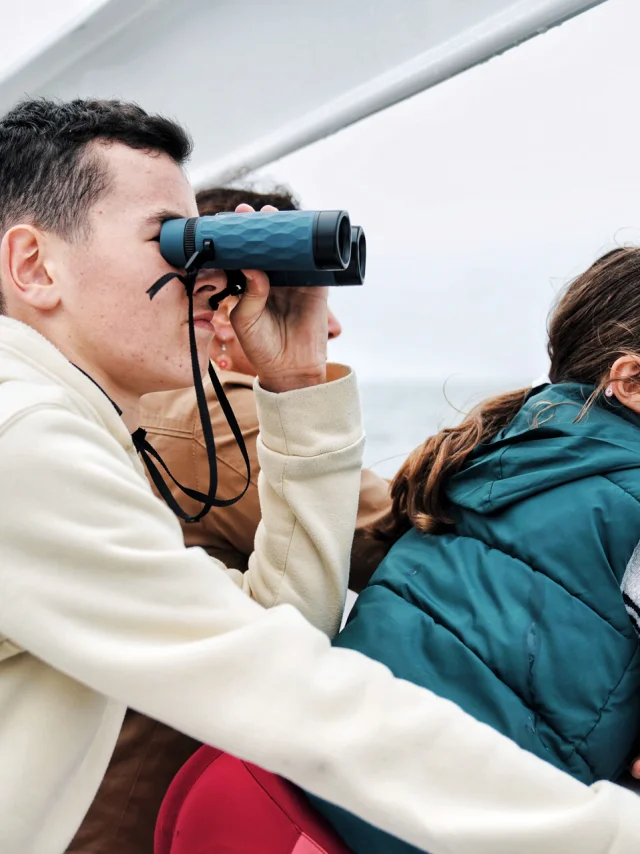 Observateur Naturaliste D Un Jour Faune Marine Dans Les Archipels De Chausey Et Des Minquiers