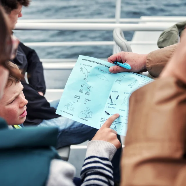 Observateur Naturaliste D Un Jour Faune Marine Dans Les Archipels De Chausey Et Des Minquiers