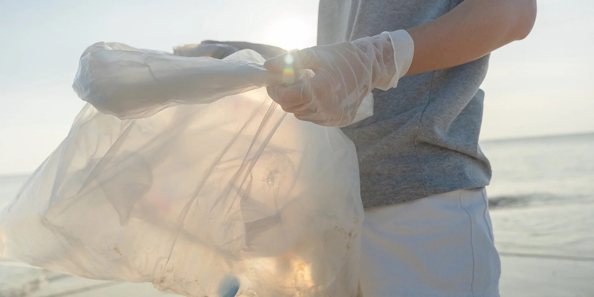 Voluntary Garbage Collection