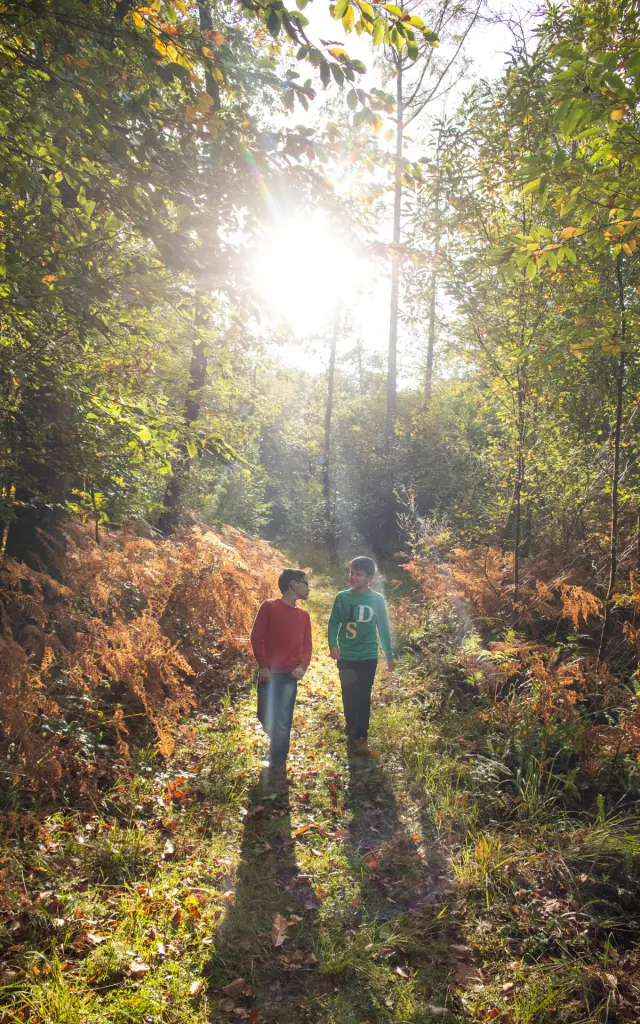 Balade Dans La Foret De La Lucerne Credit Otgtm Philippe Fauvel 28916 1920px