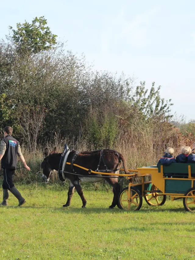 Balade En Carriole A La Ferme De La Chevre Rit Pendant La Ferme En Folie Credit Otgtm Simon Saussaye 13552 1