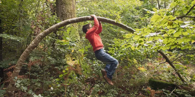 Acrobatie Dans La Foret De La Lucerne Credit Otgtm Philippe Fauvel 28916 1200px