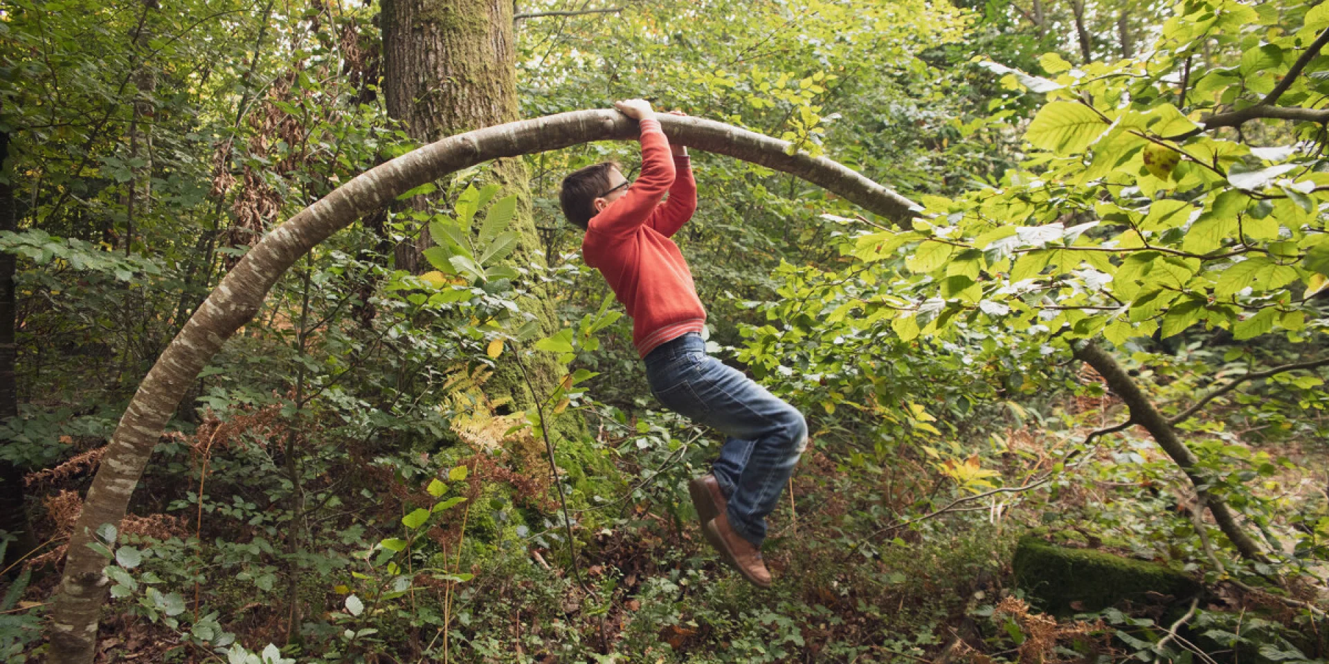 Acrobatie Dans La Foret De La Lucerne Credit Otgtm Philippe Fauvel 28916 1200px