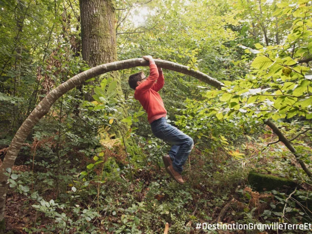 Acrobatie Dans La Foret De La Lucerne Credit Otgtm Philippe Fauvel 28916 1200px