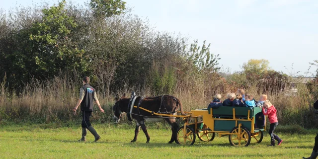 Balade En Carriole A La Ferme De La Chevre Rit Pendant La Ferme En Folie Credit Otgtm Simon Saussaye 13552 1