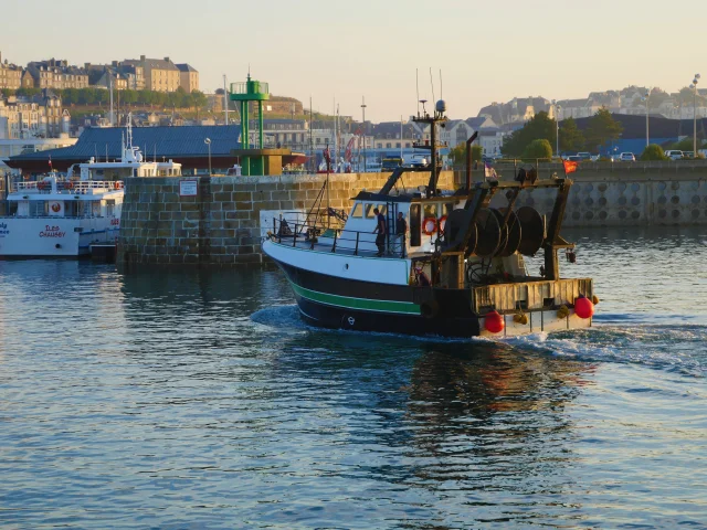 La Debarque Dans L Avant Port De Peche Credit Otgtm Estelle Cohier 36097