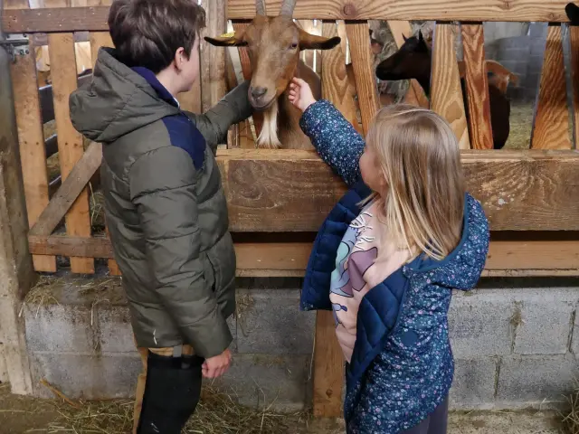 2024 Ferme En Folie Estelle Cohier 24