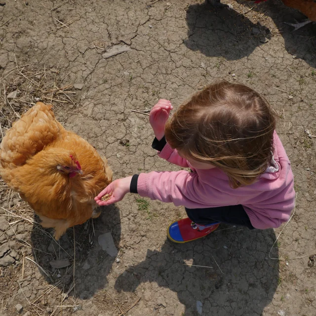 C Est Toi Le Fermier A La Ferme De La Chevre Rit Credit Otgtm Estelle Cohier 35892