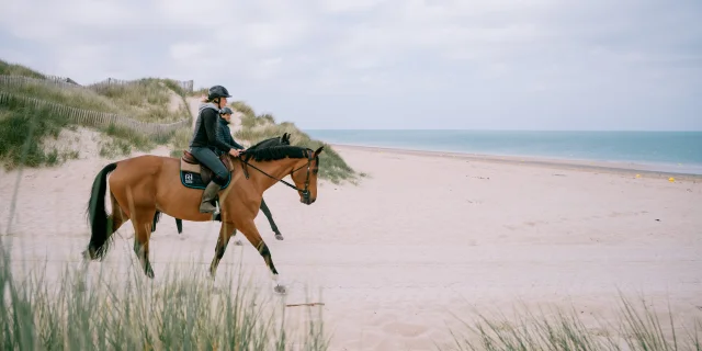 Chevaux Sur La Plage Et Dans Les Dunes Credit Otgtm Cecile Ballon 37348 2