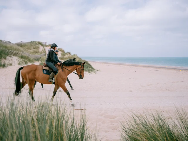 Chevaux Sur La Plage Et Dans Les Dunes Credit Otgtm Cecile Ballon 37348 2