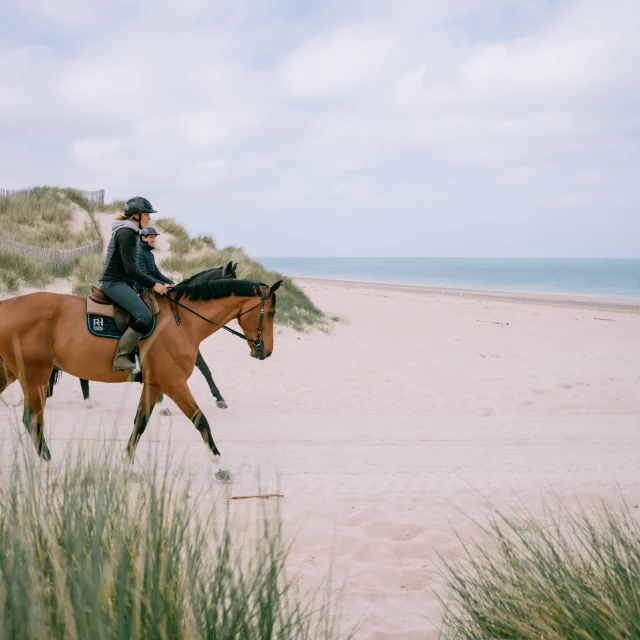 Chevaux Sur La Plage Et Dans Les Dunes Credit Otgtm Cecile Ballon 37348 2