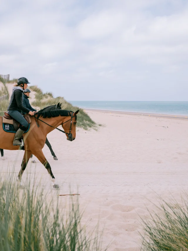 Chevaux Sur La Plage Et Dans Les Dunes Credit Otgtm Cecile Ballon 37348 2