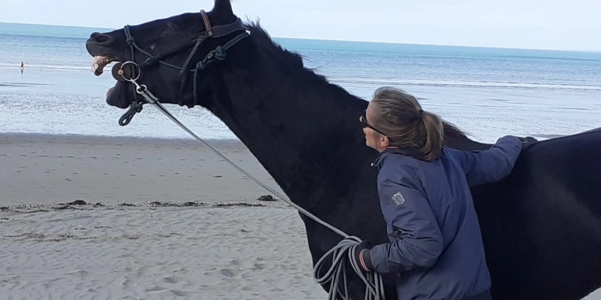 Emilie, un cheval un guide