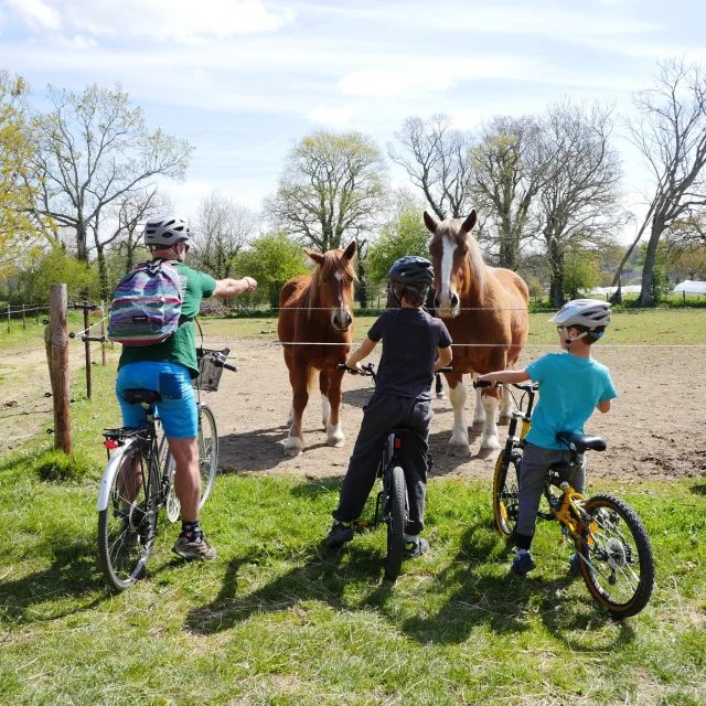 A Bicyclette A La Ferme Des Courlis Credit Otgtm Estelle Cohier 34257
