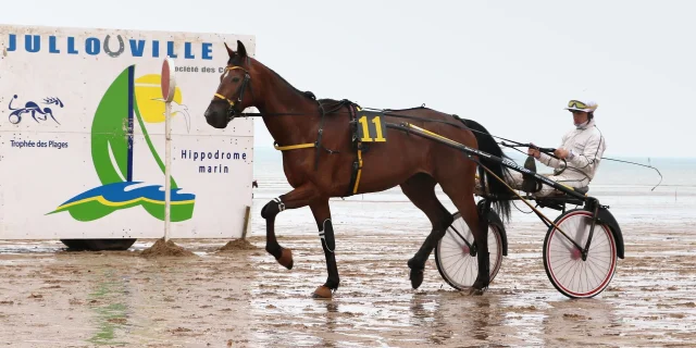 Courses hippiques de Jullouville