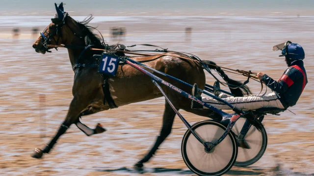 Courses hippiques de Jullouville