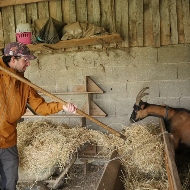 Woofing A La Ferme De La Chevre Rit