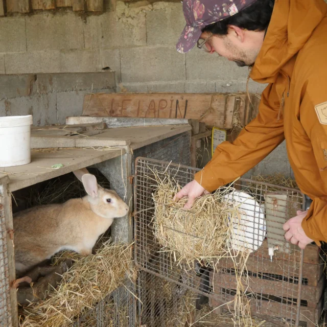 Woofing A La Ferme De La Chevre Rit