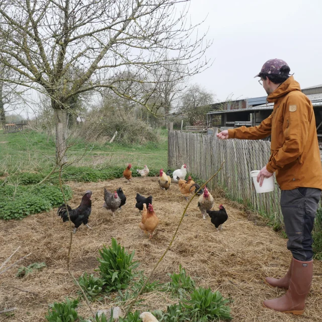 Woofing A La Ferme De La Chevre Rit