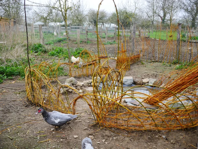 Woofing A La Ferme De La Chevre Rit Credit Otgtm Estelle Cohier 37974 1920px 1