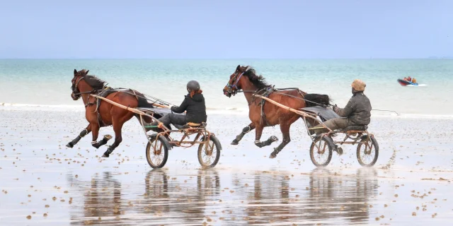 Séance d'entraînement des chevaux sur la plage de Jullouville