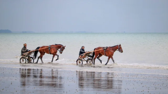 Séance d'entraînement des chevaux sur la plage de Jullouville