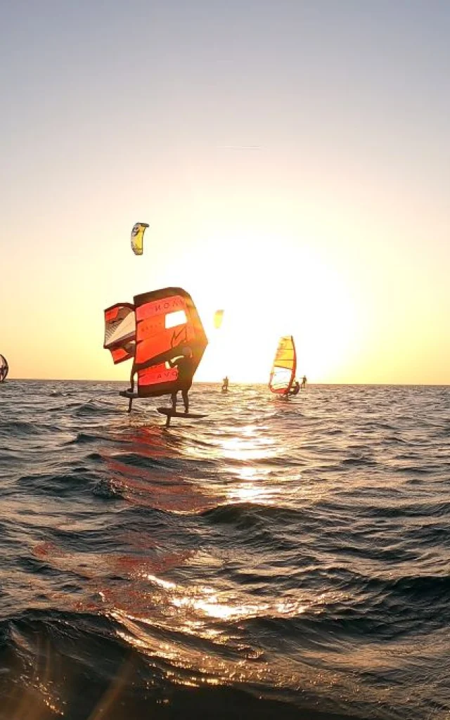 Wing Brv GGautier 080824 4