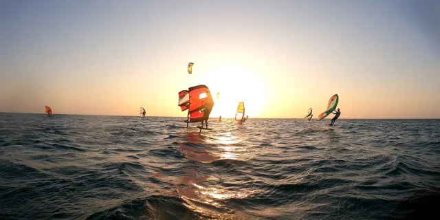 Wing Brv GGautier 080824 4