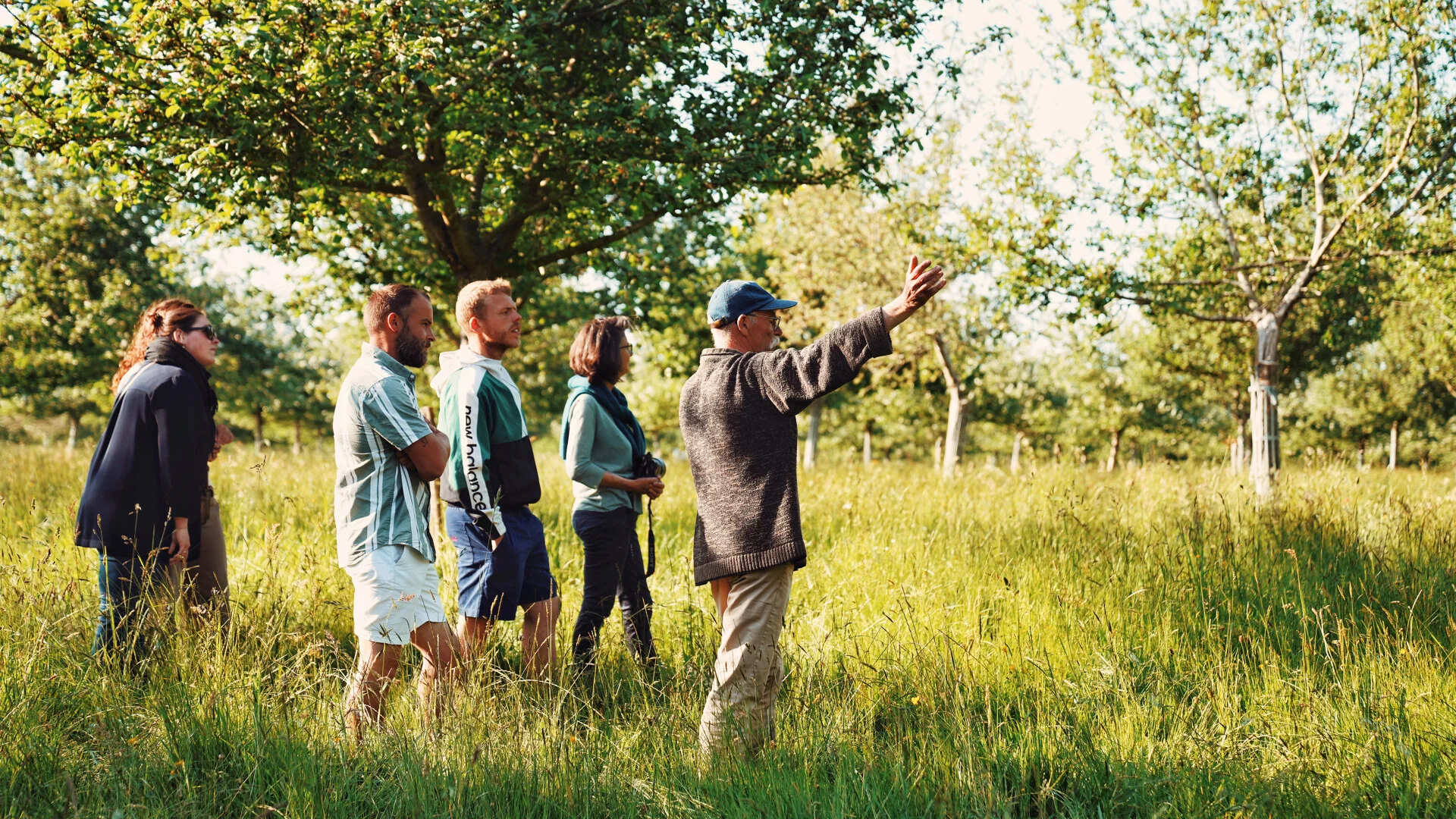 Au milieu des pommiers et du bocage normand
