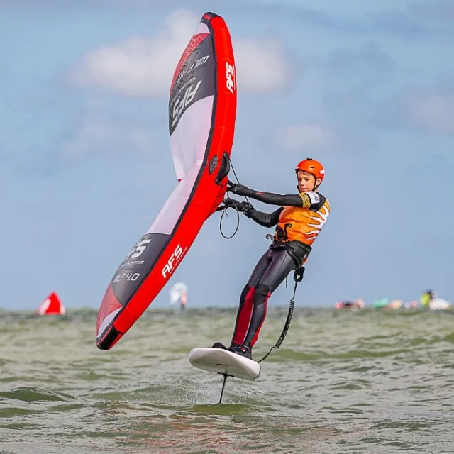 Simon Vik Wing 2025