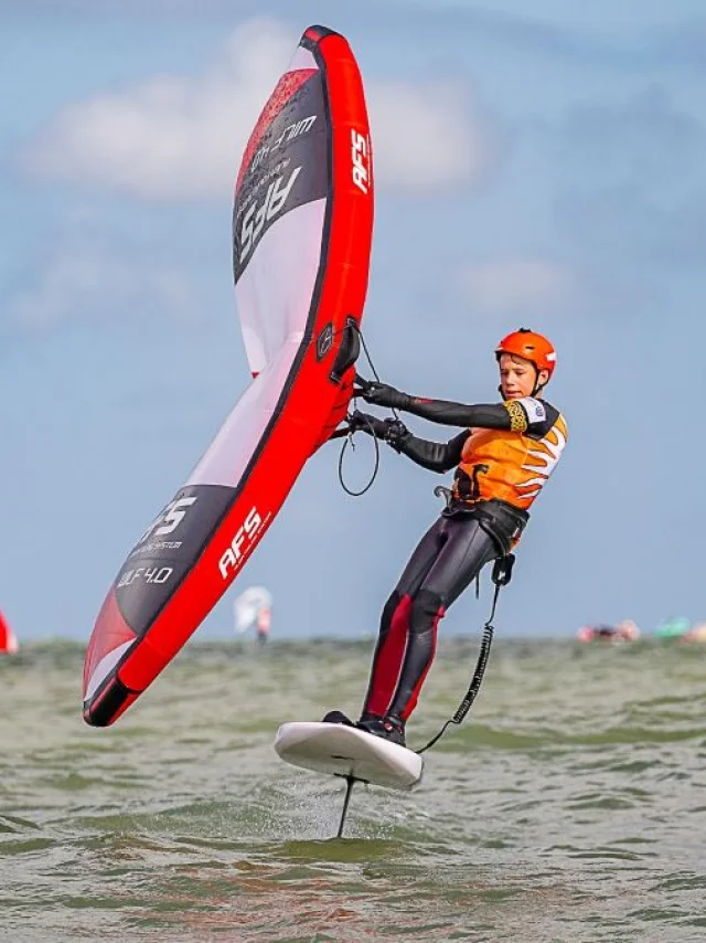Simon Vik Wing 2025