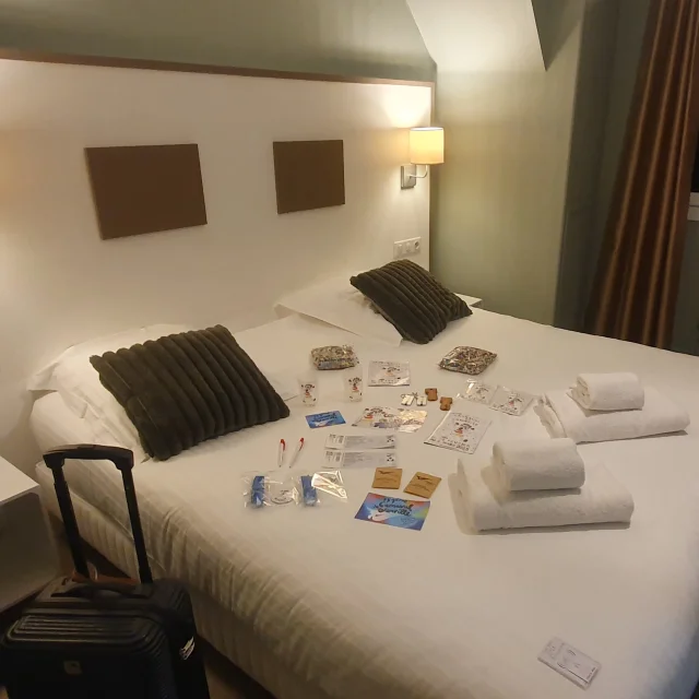 Hôtel du Musée - chambre gagnants concours char Carnaval