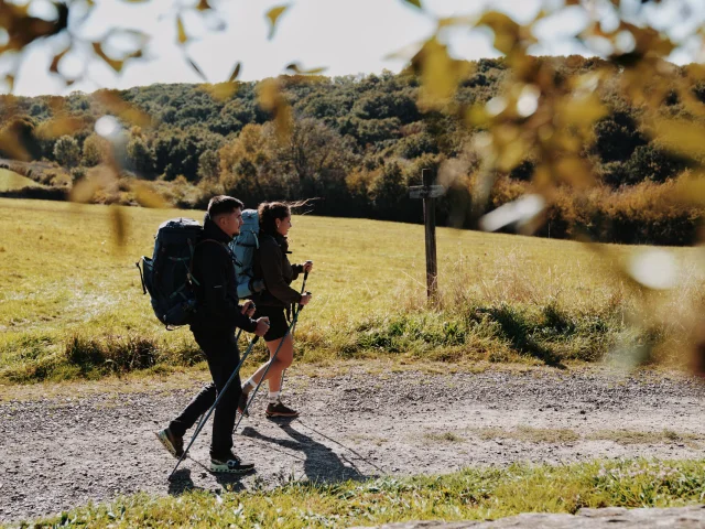 Randonneurs sur le GR®223