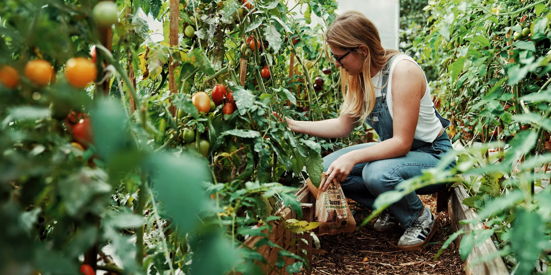 Potager de O2 Camping