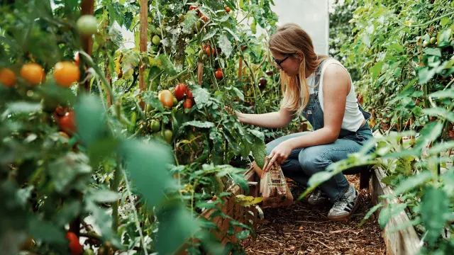 Potager de O2 Camping