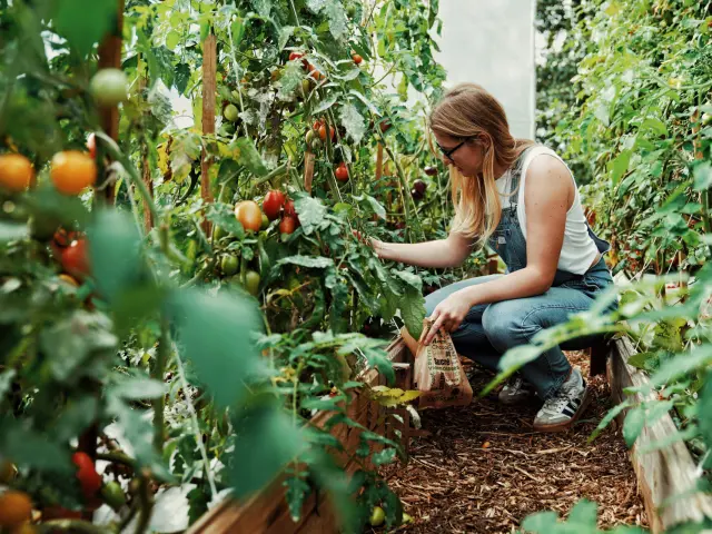 Potager de O2 Camping
