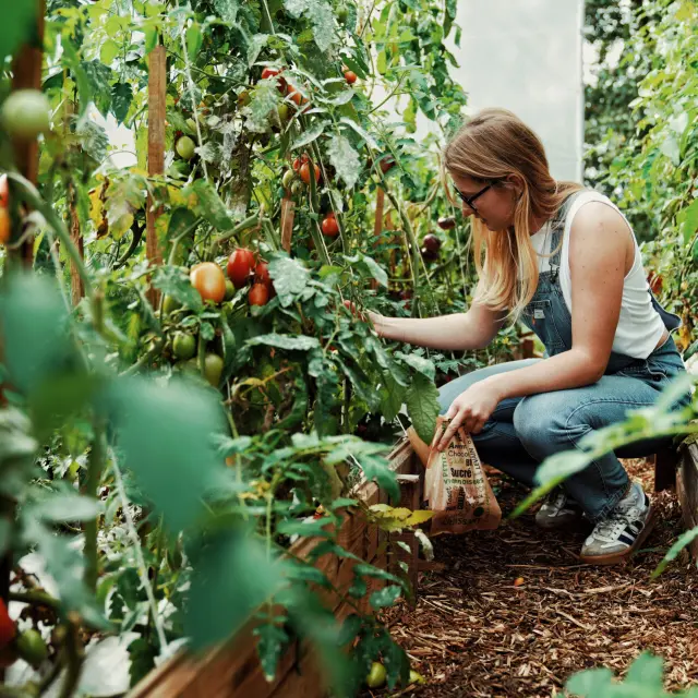 Potager de O2 Camping
