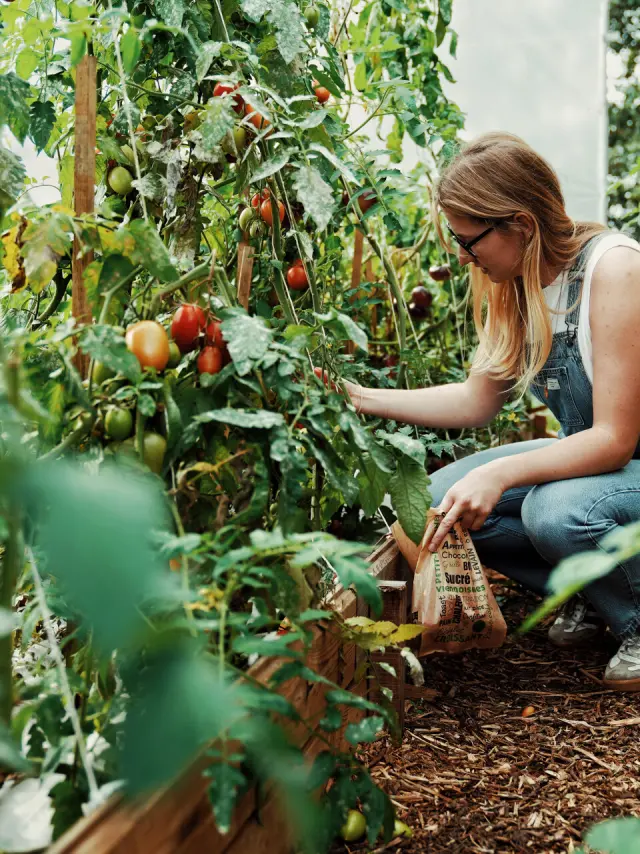 Potager de O2 Camping