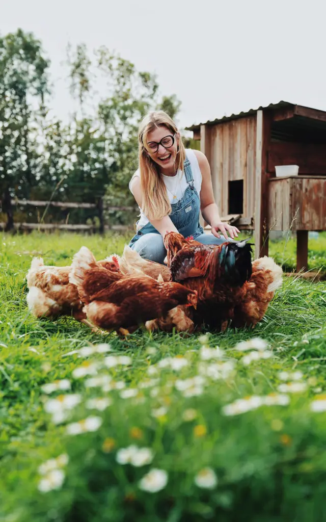 Poulailler de O2 Camping