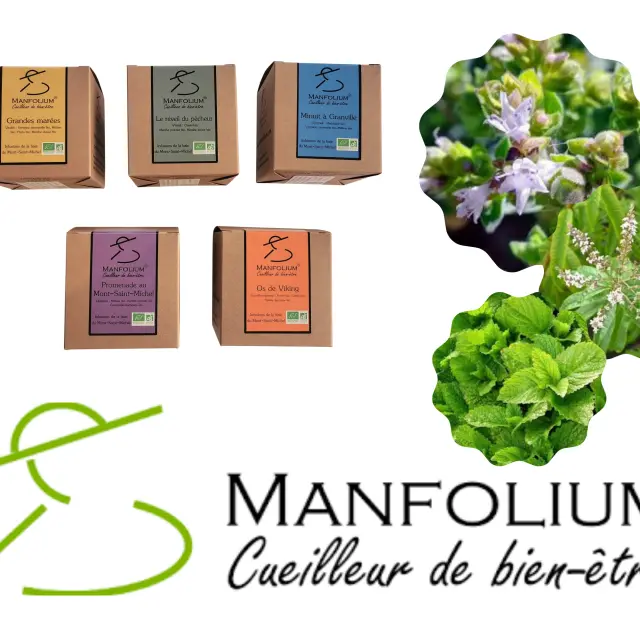 Manfolium