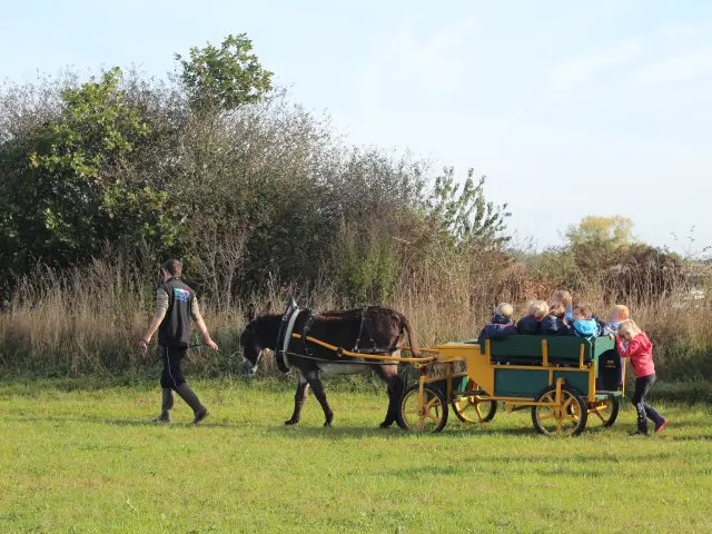 Balade En Carriole A La Ferme De La Chevre Rit Pendant La Ferme En Folie Credit Otgtm Simon Saussaye 13552