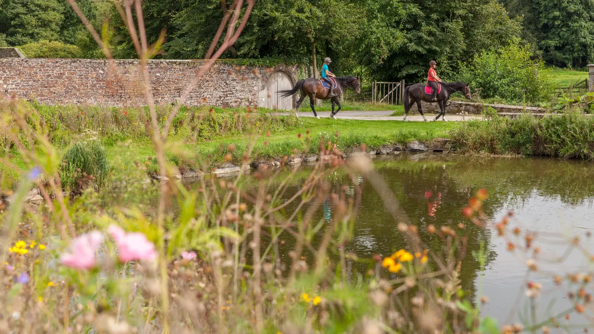 Promenade à cheval dans la campagne normande au printemps